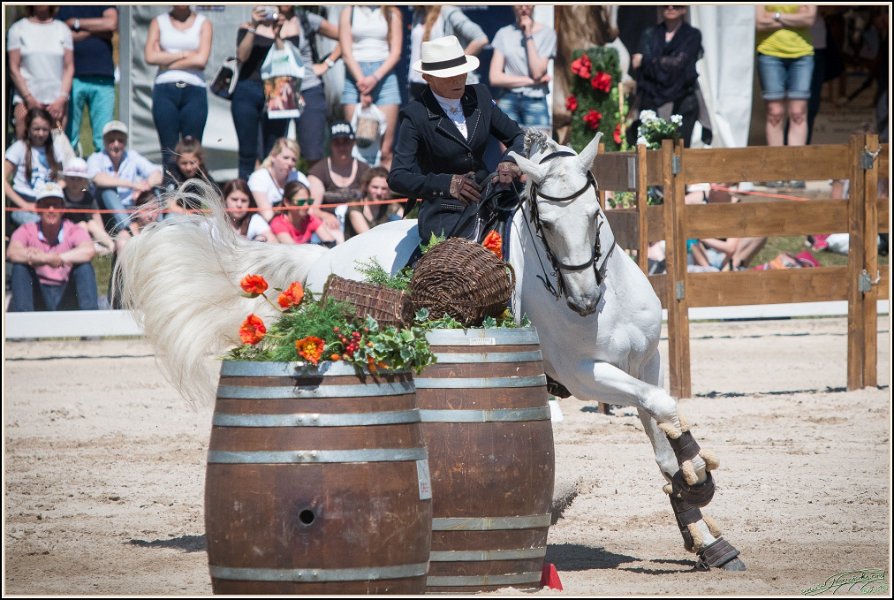 Pferd International 170